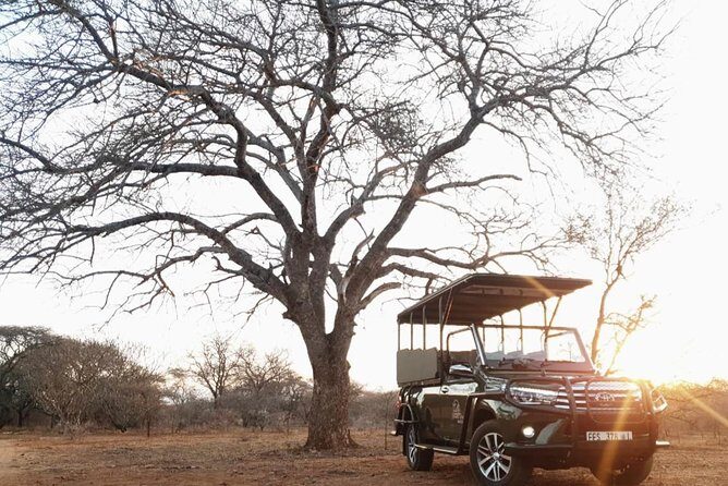Full Day Kruger National Park - What Does the Itinerary Look Like?