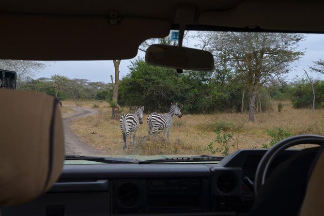 Full-Day Lake Mburo National Park Safari with Boat trip (2 day option available) - A Closer Look at the Itinerary