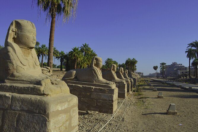 Full day Luxor tour from Cairo by a sleeper train - Logistics and Practical Considerations