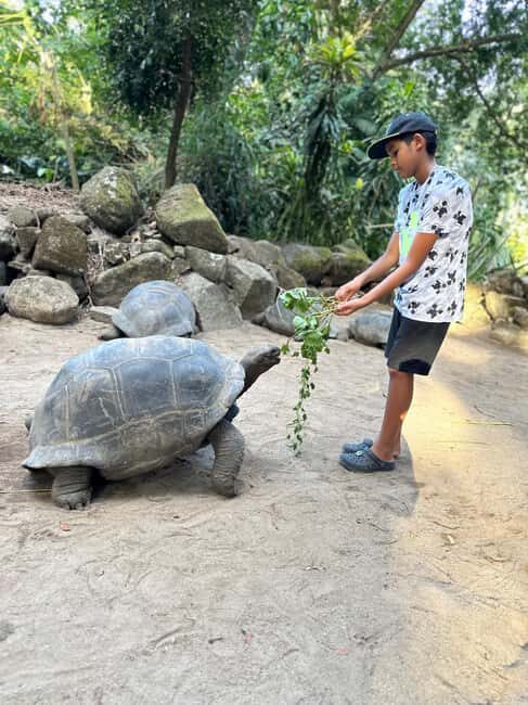 Full day Mahe Tour - The Itinerary: A Mosaic of Mahé’s Most Notable Spots