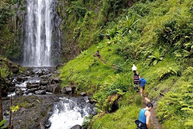 Full Day Materuni Water Falls, Hiking and Coffee Making Tour in Moshi - Diving into the Experience: What to Expect