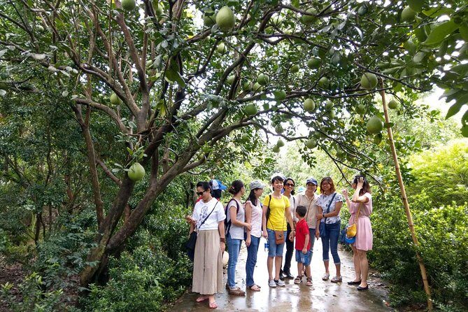 Full-day Mekong Delta and My Tho tour from Ho Chi Minh City - Exploring the Itinerary: What You’ll See and Do