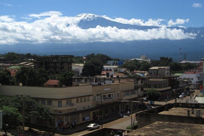 Full-Day Moshi Private Forest Walk and Local Market Tour - Mbuyu Market: A Feast for the Senses