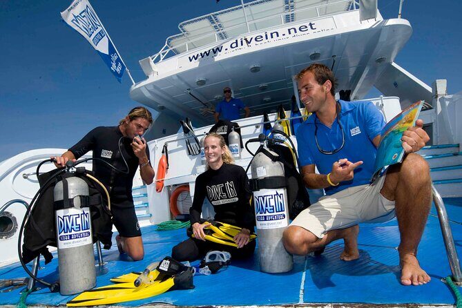 Full Day on Boat with 2 Dives in the Marine Parks of Sharm - Who Is This Tour Best For?