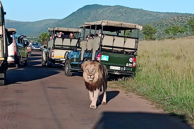 Full Day Pilanesberg Safari Adventure - What Sets This Tour Apart?