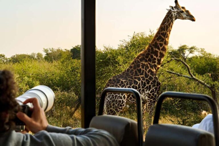 Full-Day Pilanesberg Safari from Sun City - Authentic Encounters and Guide Quality