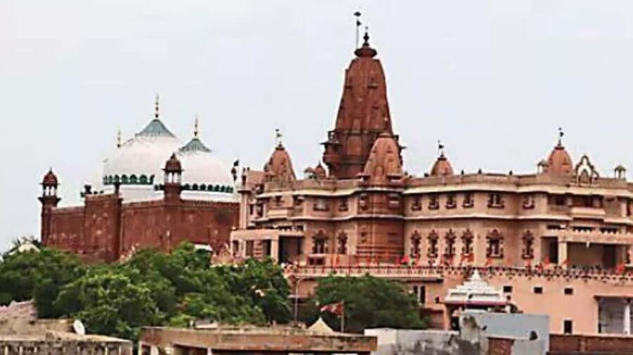 Full-Day Pilgrimage: Explore Mathura & Vrindavan from Delhi - Analyzing the Value