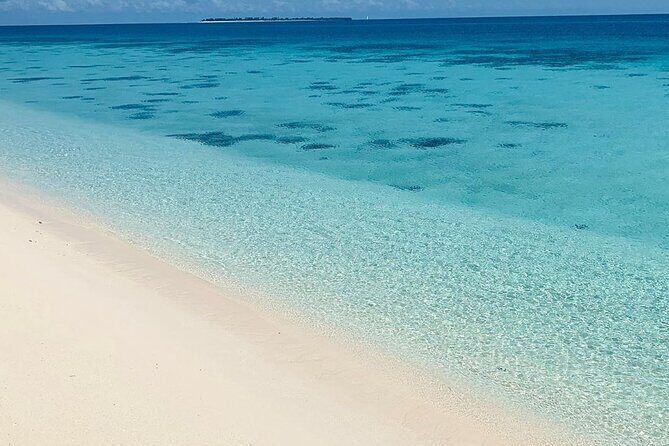 Full-day Prison Island and Nakupenda Sandbank with Lunch buffet - What Makes This Tour Special?