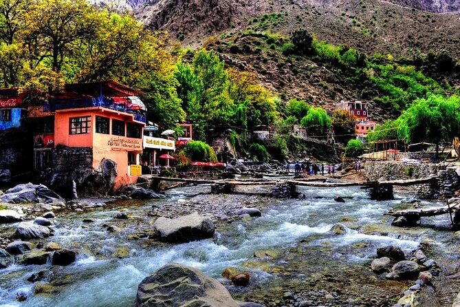 Full Day Private Berbere Experience in High Atlas - What Travelers Say