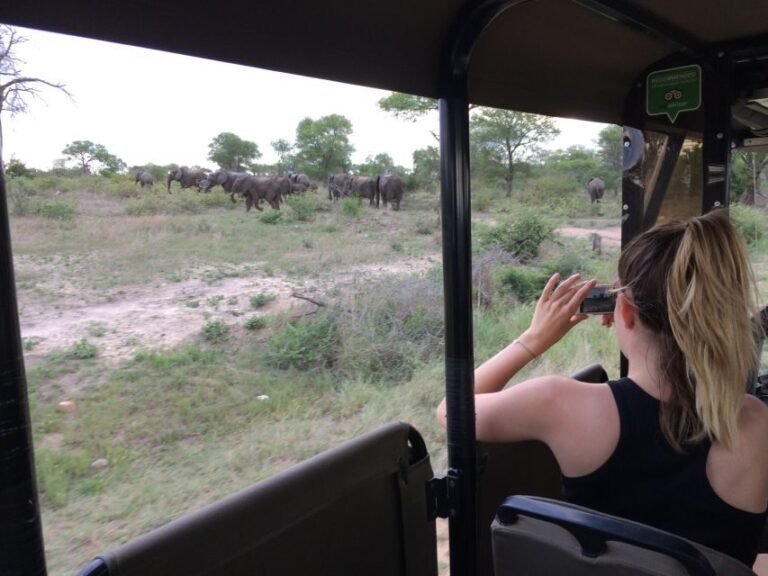 Full-Day Private Big 5 Safari in Kruger National Park - Is It Worth the Price?