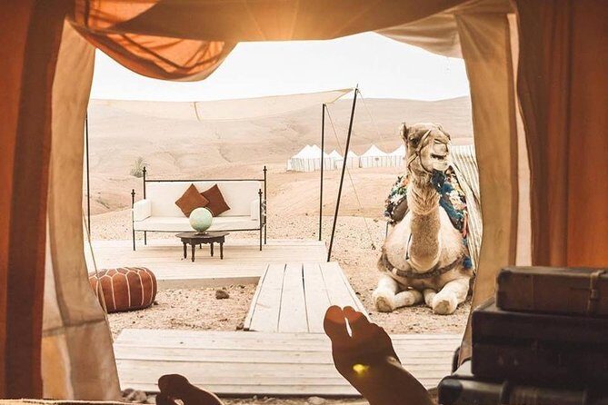 Full-Day Private Camel Ride in Agafay Desert with Lunch - Is It Worth It? Assessing the Value