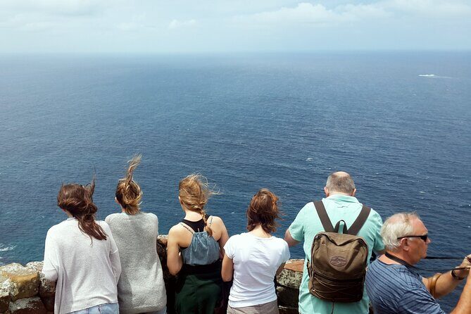 Full-Day Private Cape Peninsula Tour - Transportation & Practical Details