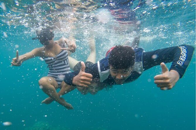Full Day Private Catamaran Cruise to Bénitiers Island - What’s Included (and What’s Not)