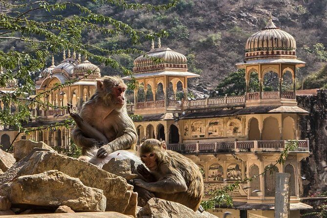 Full-Day Private City Tour of Jaipur - Why the Experience Delivers Real Value