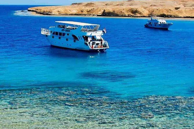 Full-Day Private Cruise in Ain Sokhna with Lunch - What Makes This Tour Stand Out?
