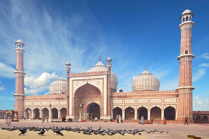 Full Day Private Custom Tour of New Delhi - The Practical Side: What You Need to Know