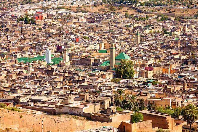 Full Day Private Guided Fez Medina Walking Tour - Who Should Consider This Tour?