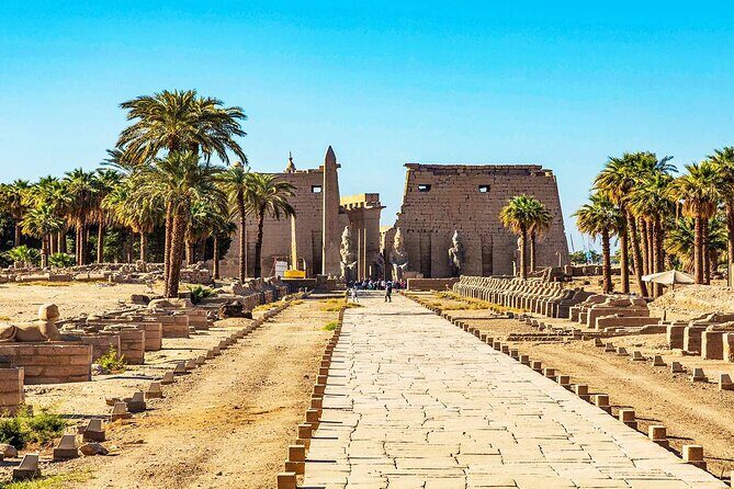 Full Day Private Guided Tour in East and West Bank Luxor - What’s Included & Not