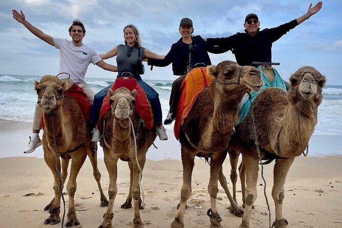 Full-Day Private Guided Tour in Tangier - Authentic Experiences and Honest Feedback