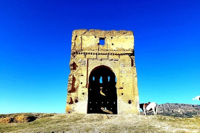 Full-Day Private Guided Tour of Fez with Pickup and Lunch - Why Travelers Love This Tour