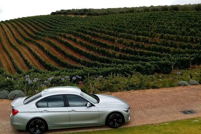 Full-Day Private Guided Wine Tasting Tour of Cape Wineries - Whats Included and Whats Not