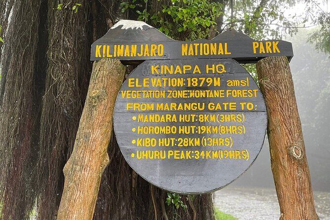 Full Day Private Hiking Tour to Kilimanjaro Mountain - Wildlife, Nature, and Scenic Views