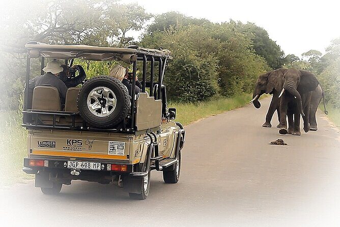 Full Day Private Kruger Park Safari - The Itinerary and What to Expect