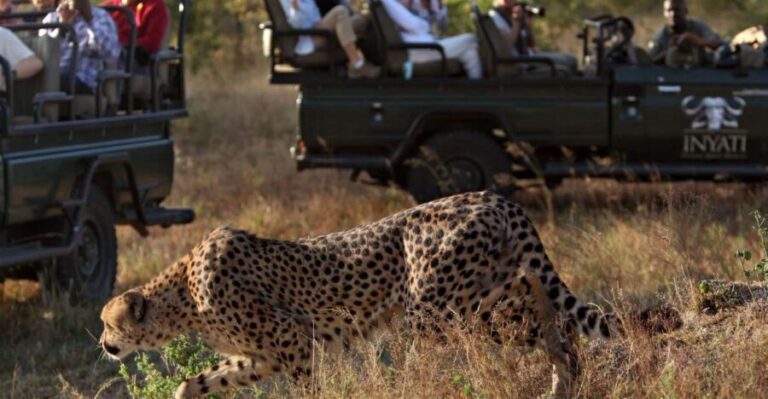 Full Day Private Kruger Safari from Hazyview - Who Would Love This Tour?