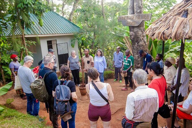 Full-Day Private Materuni Waterfalls and Coffee in Tanzania - Who Is This Tour Best For?