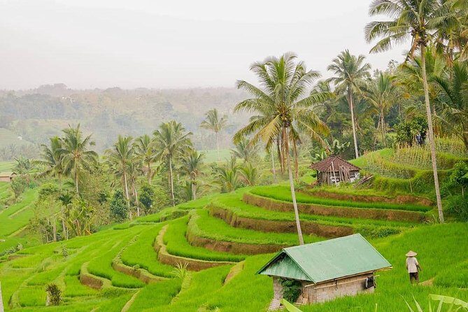 Full-Day Private North Bali Tour with Free WiFi - What to Expect from the Itinerary