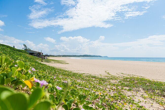 Full Day Private Ponta D'Ouro Tour from Maputo - What Travelers Are Saying