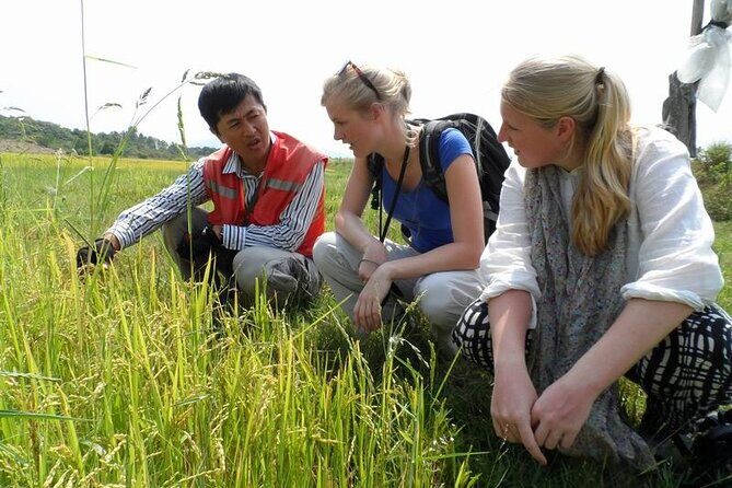 Full Day Private Silk Village And Elephant Waterfall Tour - Final Thoughts: Who Will Love This Tour?