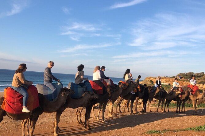 Full Day Private Tangier Tour From Tarifa All Inclusive - Authentic Experiences and Traveler Insights