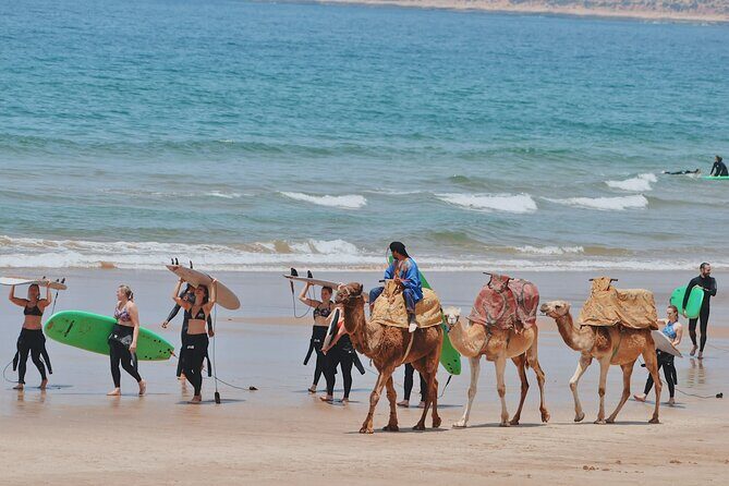 Full Day Private Tour from Marrakesh to Essaouira with Pickup - In-Depth Review of the Tour Experience