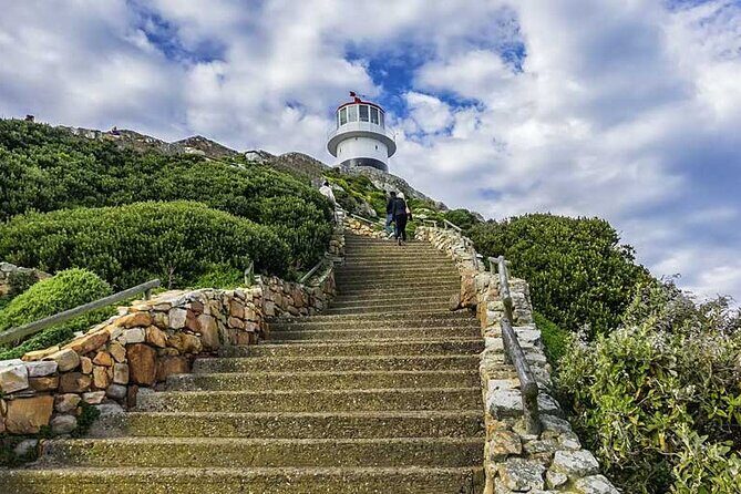 Full Day Private Tour of the Cape Peninsula and Boulders Penguins - Is It Worth the Price?