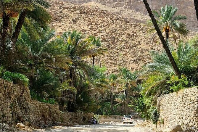 Full-Day Private Tour of Wahiba Sands Desert and Wadi Bani Khalid - An In-Depth Look at the Tour Experience