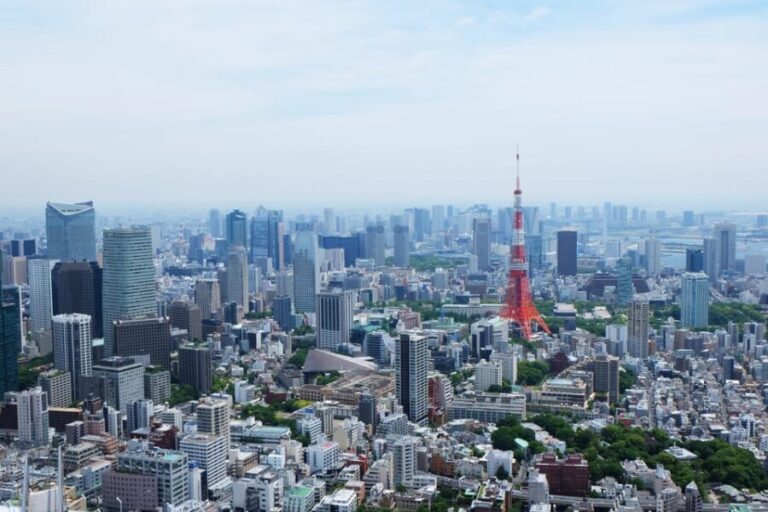 Full-Day Private Tour to Discover The Best of Tokyo - Authentic Traveler Feedback