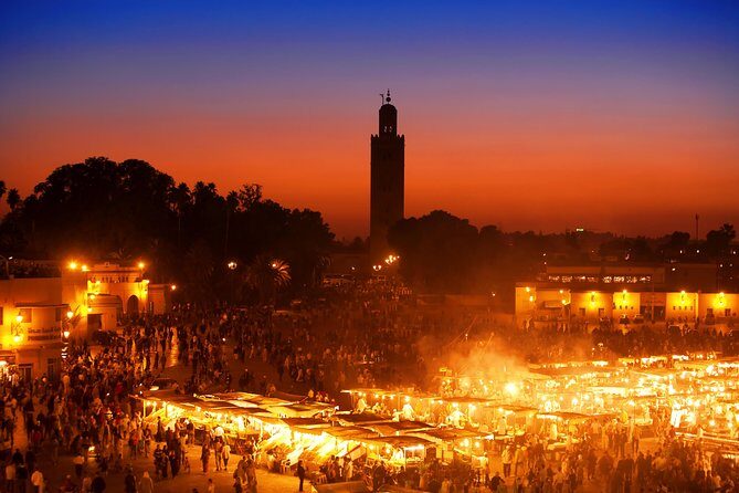 Full-Day Private Tour to Marrakech from Casablanca - What Travelers Say About This Tour