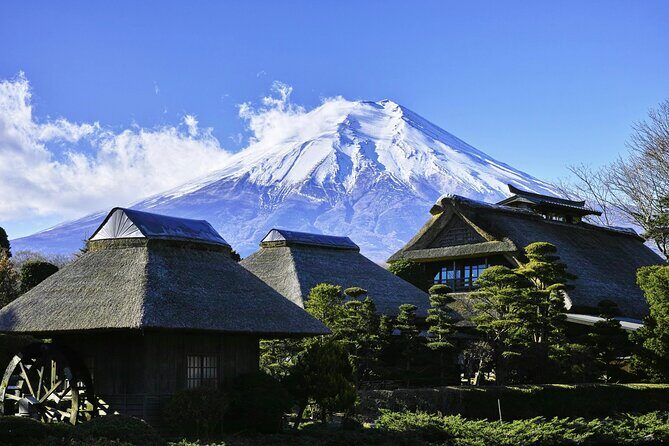 Full Day Private Tour to Mt Fuji by Luxury Vehicle - Who Should Consider This Tour?