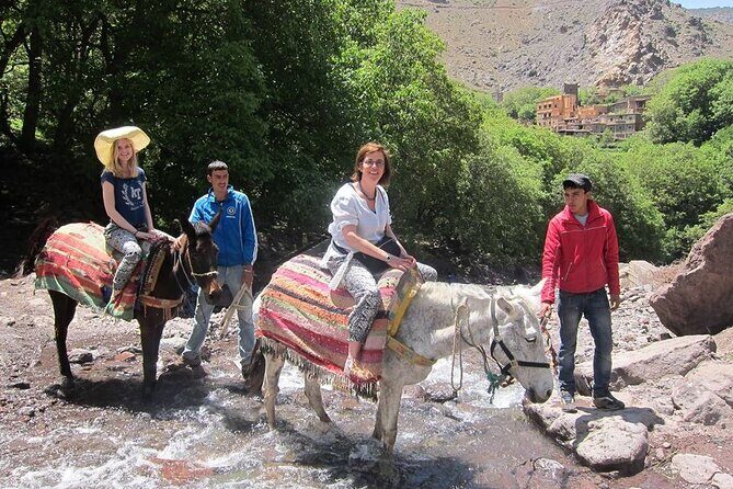 Full Day Private Trip from Marrakech to Atlas with Lunch - Authentic Experiences that Stand Out