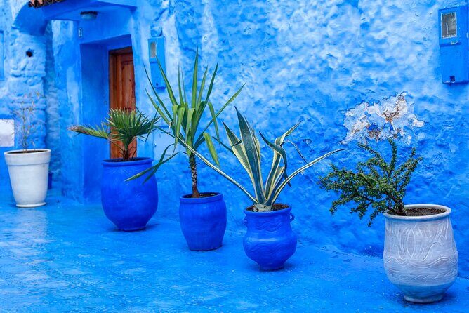 Full Day Private Trip to Chefchaouen the Blue City from Tangier - Practical Tips for Travelers