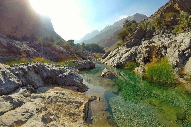 Full-Day Private Wadi Al Arbeieen-Bimmah Sinkhole-Fins Beach Tour - The Value of the Tour