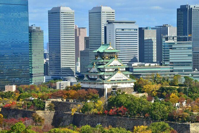 Full Day Private walking Tour in Osaka - Final Thoughts