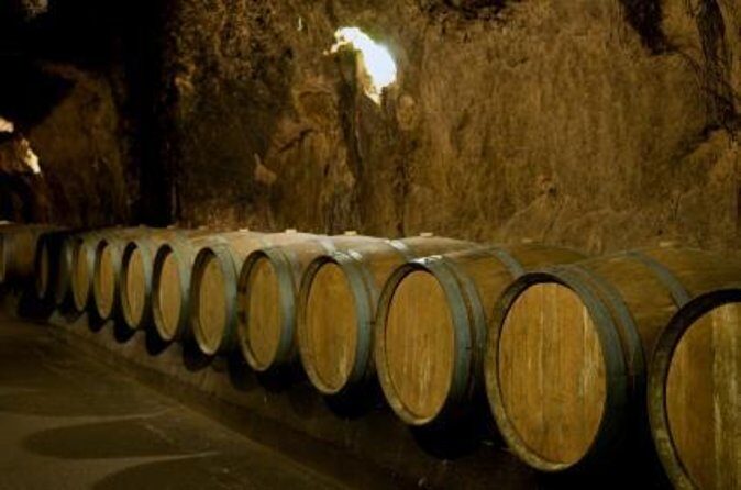 Full-Day Private Wine Tasting Tour - A Closer Look at the Itinerary and What to Expect