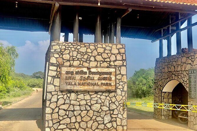 Full Day Private Yala Safari Trip with Lunch - In-Depth Review of the Full Day Private Yala Safari