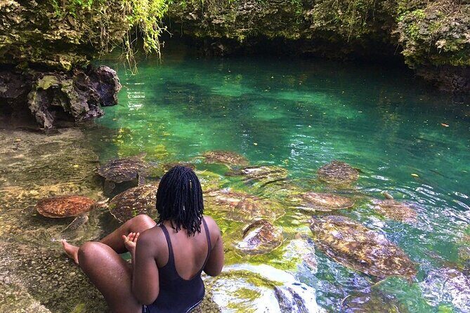 Full Day Private Zanzibar Tour with Sunset Beach - Detailed Review of the Full Day Zanzibar Tour