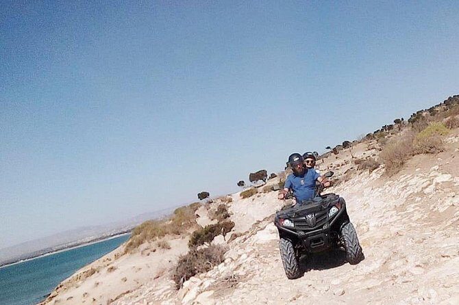 Full-Day Quad bike Adventure from Essaouira to Sidi Kaouki - The Sum Up: Who Is This Tour Best For?