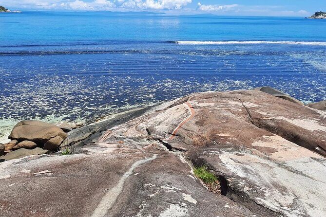 Full Day Reef Safari at St Anne Marine Park Seychelles - Exploring the Itinerary: What You Can Expect