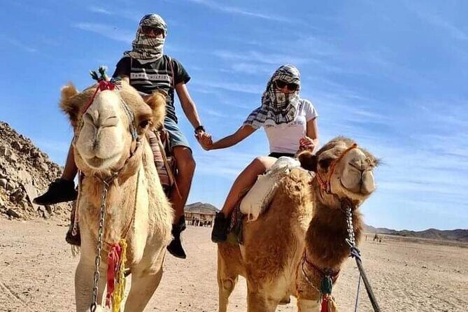 Full-Day Safari Adventure in Hurghada with Pick Up and Dinner - What To Expect and Practical Tips