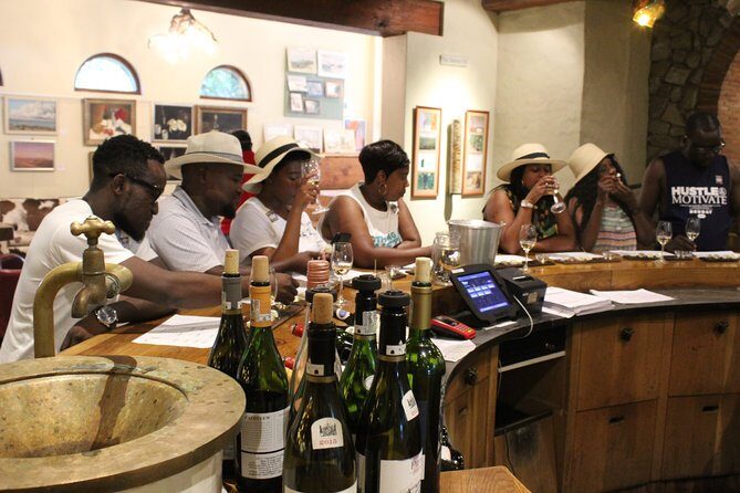 Full-Day Safari Aquila Game Reserve from Cape Town - What We Think About the Value